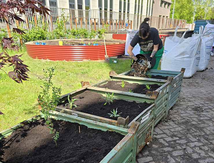20250521-Verftuin 2 nieuws