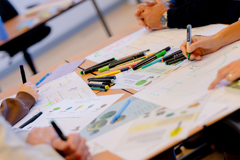 Summa Trees for Schools 800