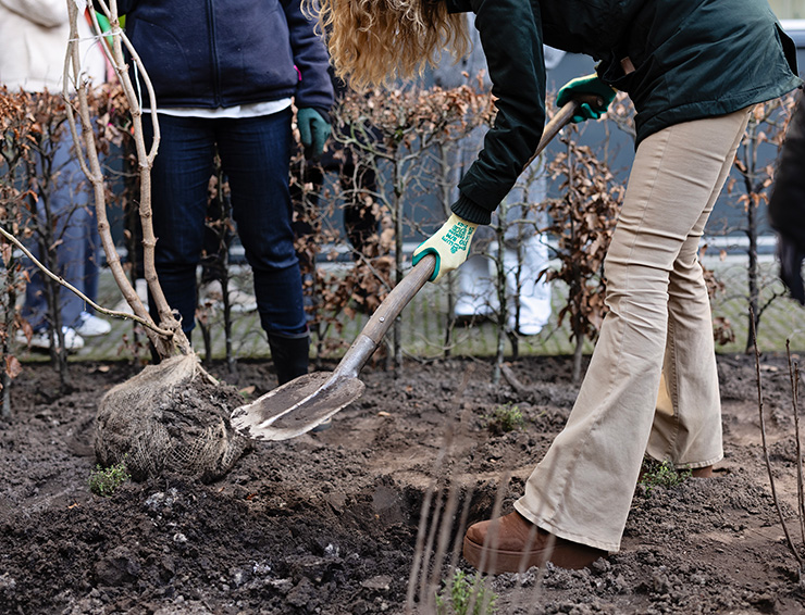 Summa Trees for Schools nieuws