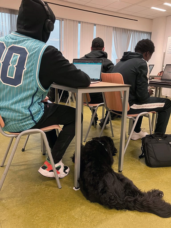 Summa College Therapiehond Joes bij Summa Plus in de klas