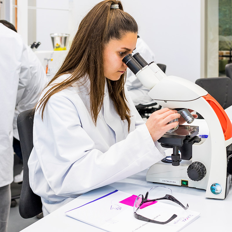 Summa College interessegebied laboratorium list